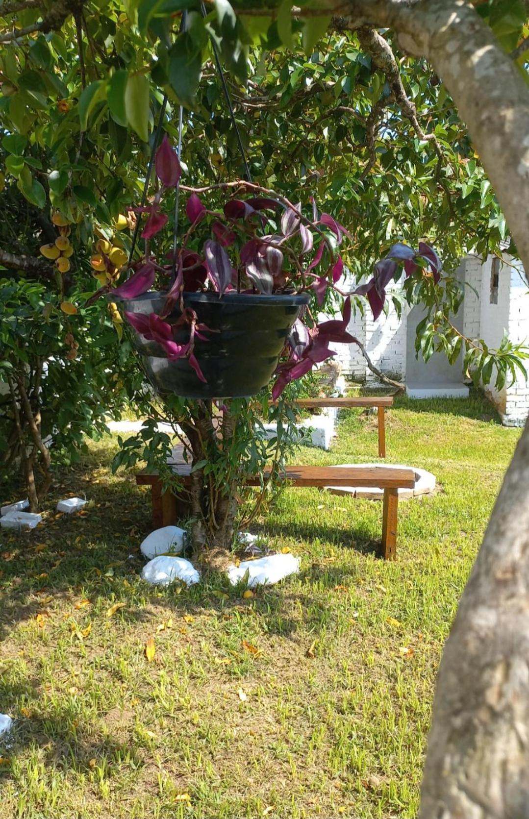 Casinha Verde ปัสซากวาโตร ภายนอก รูปภาพ